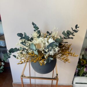 Centro Preservado Modelo 2