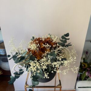 Centro Preservado Modelo 1